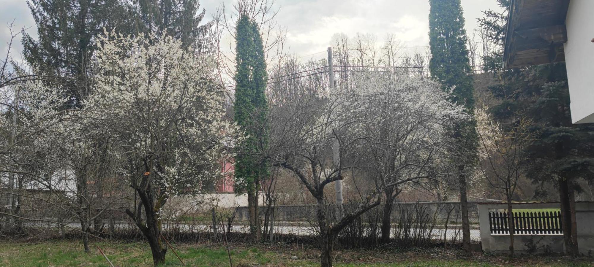 Хан Костина - Han Kostina Ribaritsa Exterior foto